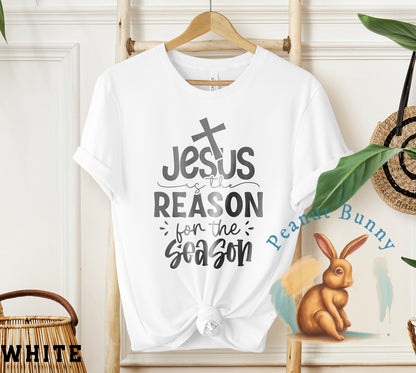 Jesus is the reason for the season-01 Christian Tshirt 401