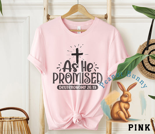 As he promised deuteronomy 26b19-01 Christian Tshirt 220