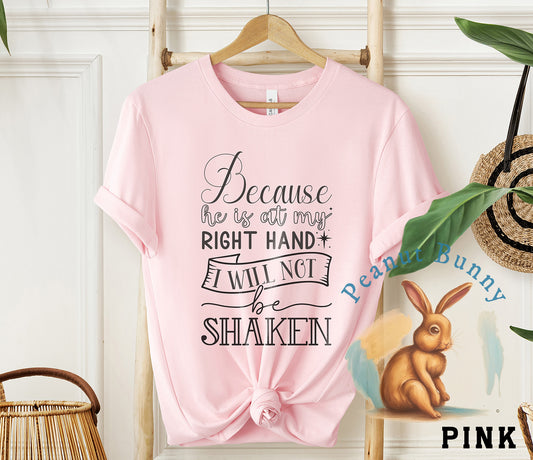 Because he is at my right hand i will not be shaken-01 Christian Tshirt 241