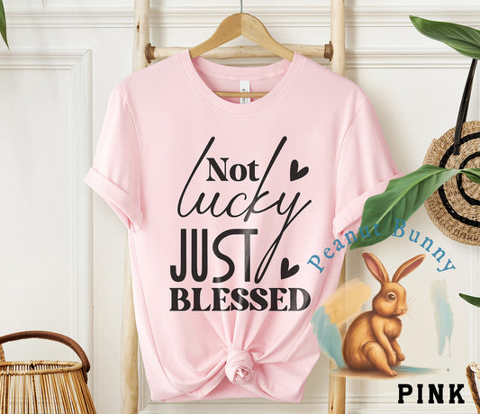 Not lucky just blessed 1-01 Christian Tshirt 463