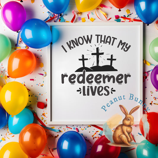 I know that my redeemer lives-01 Christian Tshirt 370