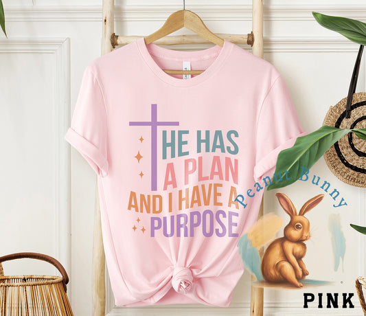 He Has A Plan And I Have A Purpose-01 Christian Tshirt 331