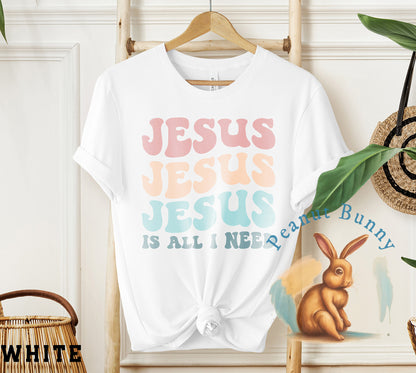 Jesus Is All I Need-01 Christian Tshirt 397